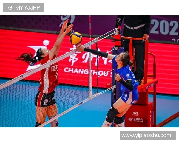 深圳排球队转型之路的挑战与机遇探索特别报道